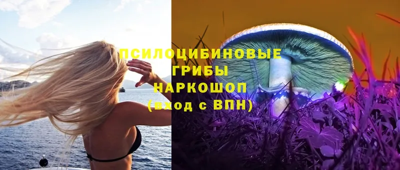 Псилоцибиновые грибы Magic Shrooms  Мичуринск 